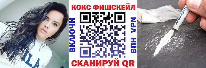 Купить закладки  Курчатов  COCAIN Fish Scale 