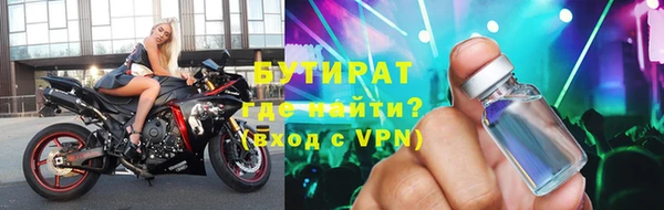 стафф Гусев