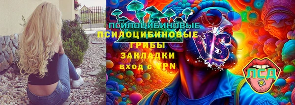 spice Гусь-Хрустальный