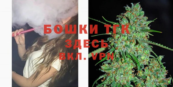 spice Гусь-Хрустальный