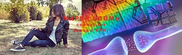 стафф Гусев