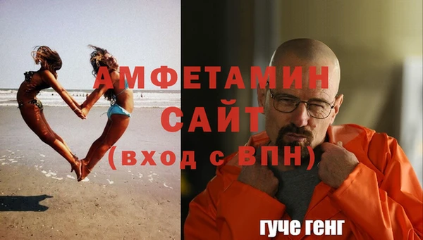 стафф Гусев